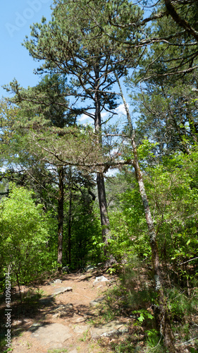 Crack in the rock trail, Van Buren, Arkansas