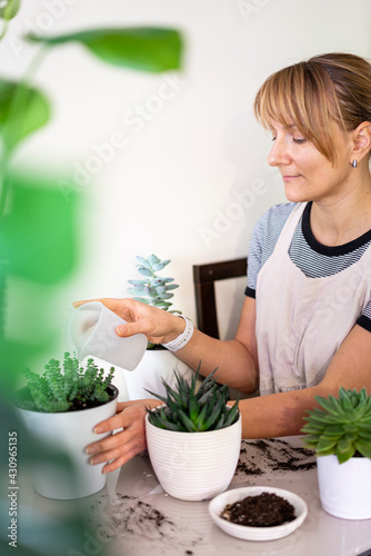 Woman gardener take care of plants in white ceramic pots on the white table. Concept of home garden. Spring time. Taking care of home plants.