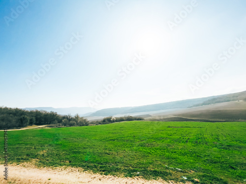 Green spring meadow in a mountainous area in sunny weather.