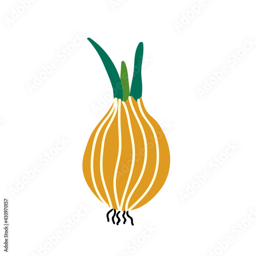 Cute yellow onion. Delicious and healthy vegetable used in food. Vector illustration on  white background .