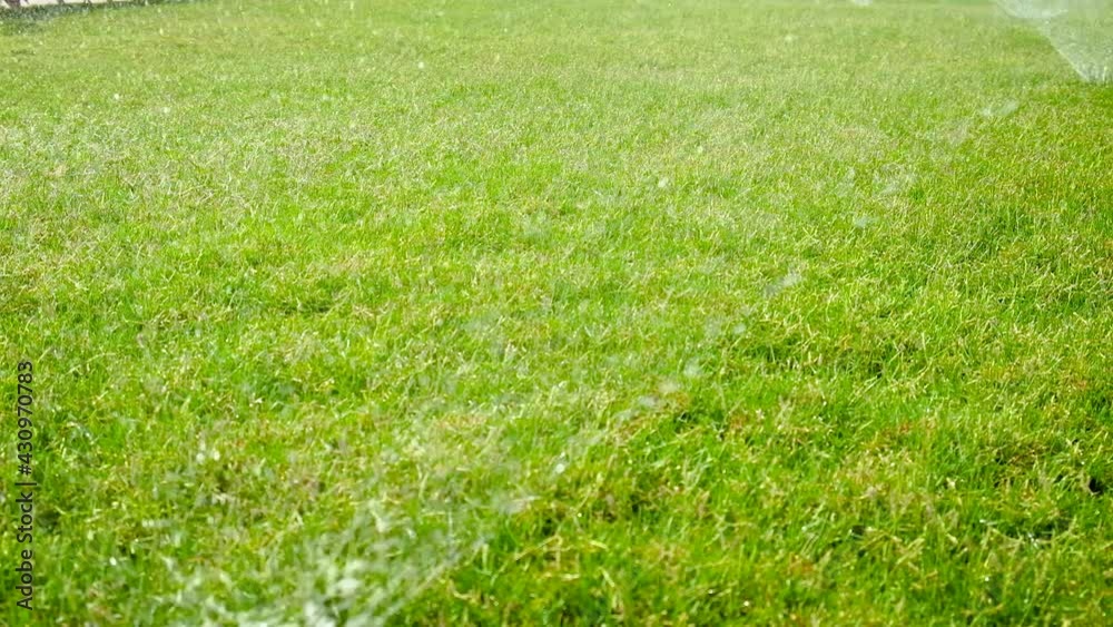 watering the lawn grass with water. Selective focus. watering the lawn grass with water. Selective focus.