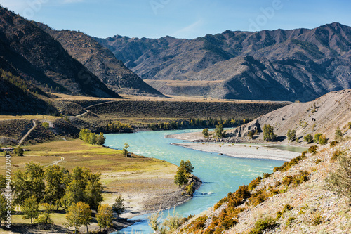 Beautiful mountain river. Altai mountain landscape