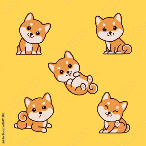 Shiba Inu Puppies
