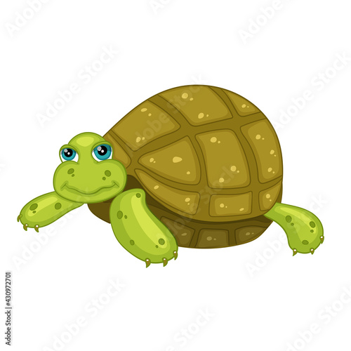 Cute turtle with blue eyes. Cartoon style vector illustration.