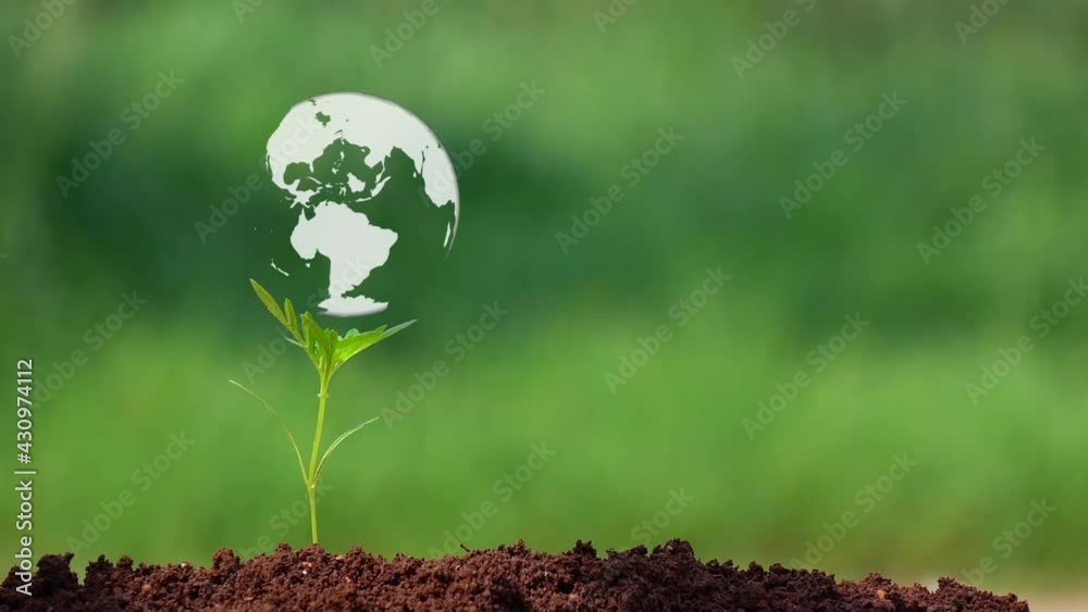 The earth on small tree. The earth on small tree.