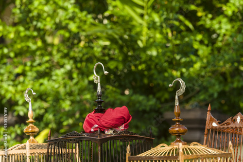 whistling bird cage during a competition in Kota Bharu in Malaysia photo