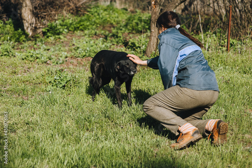 A kind woman owner in the garden is stroking a fearful, distrustful black mongrel dog with her hand. Animal care in rural areas. Photography, concept. © shchus