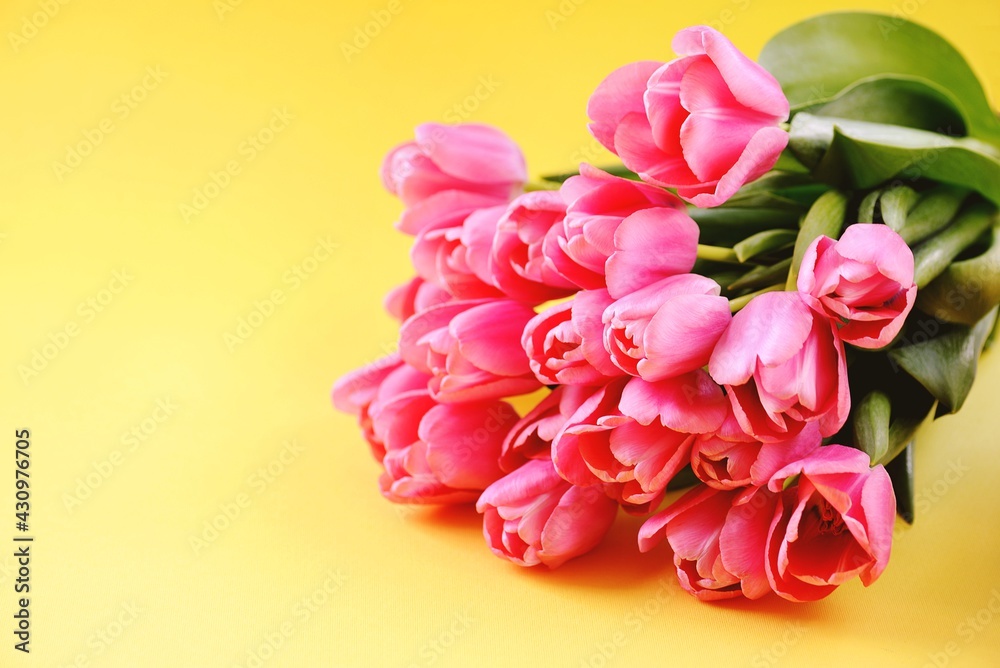 ouquet of fresh pink tulips on a yellow background. Copy space. ouquet of fresh pink tulips on a yellow background. Copy space.