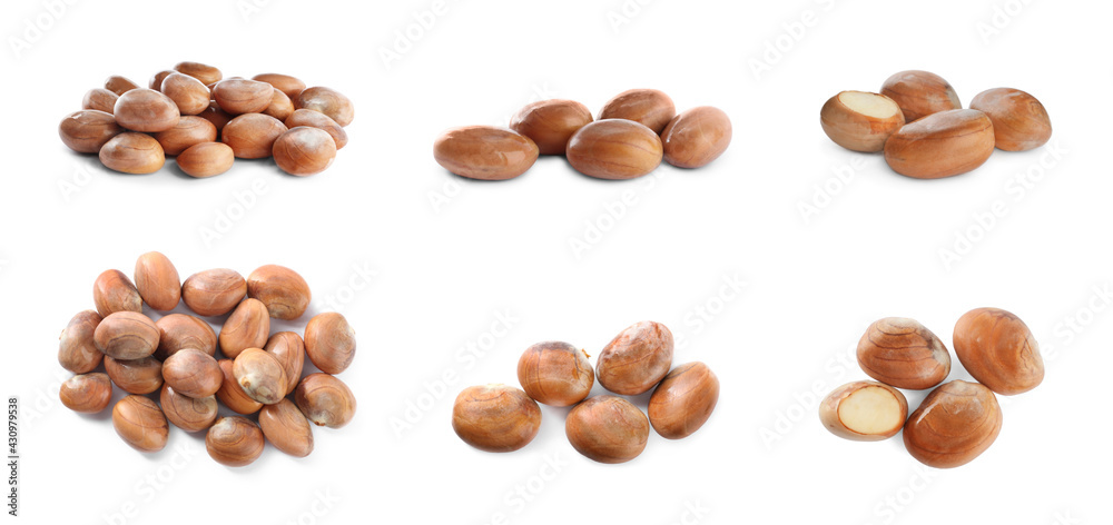 Set with jackfruit seeds on white background. Banner design Set with jackfruit seeds on white background. Banner design