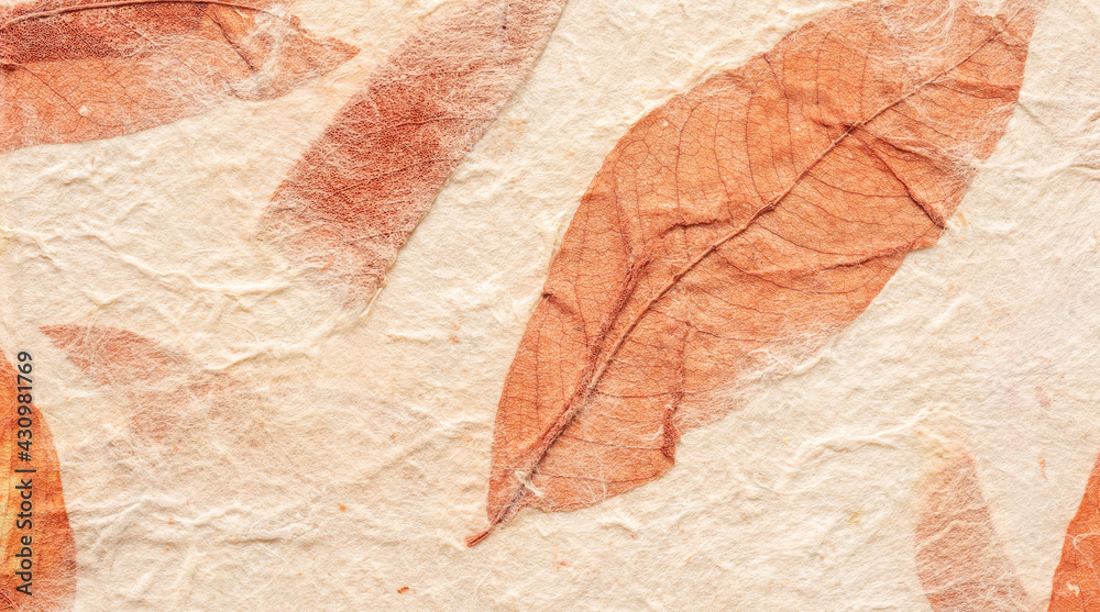 Close up of mulberry paper for a background.