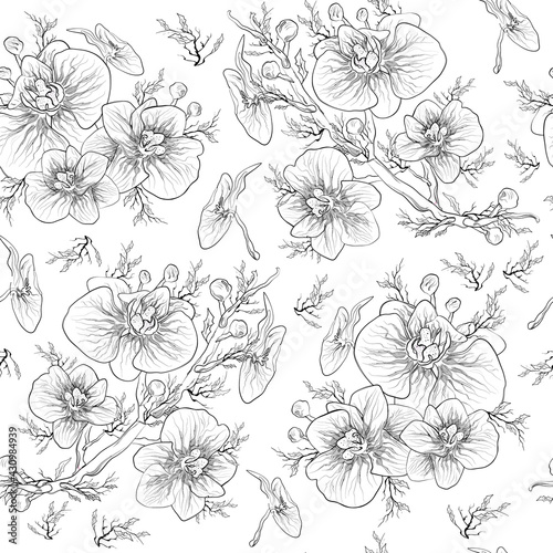 Floral, seamless botanical pattern, orchid flower isolated on white background. monochrome, wallpaper. hand-drawn pattern for textiles in a minimalist style. art  drawing for print, paper. Vector.