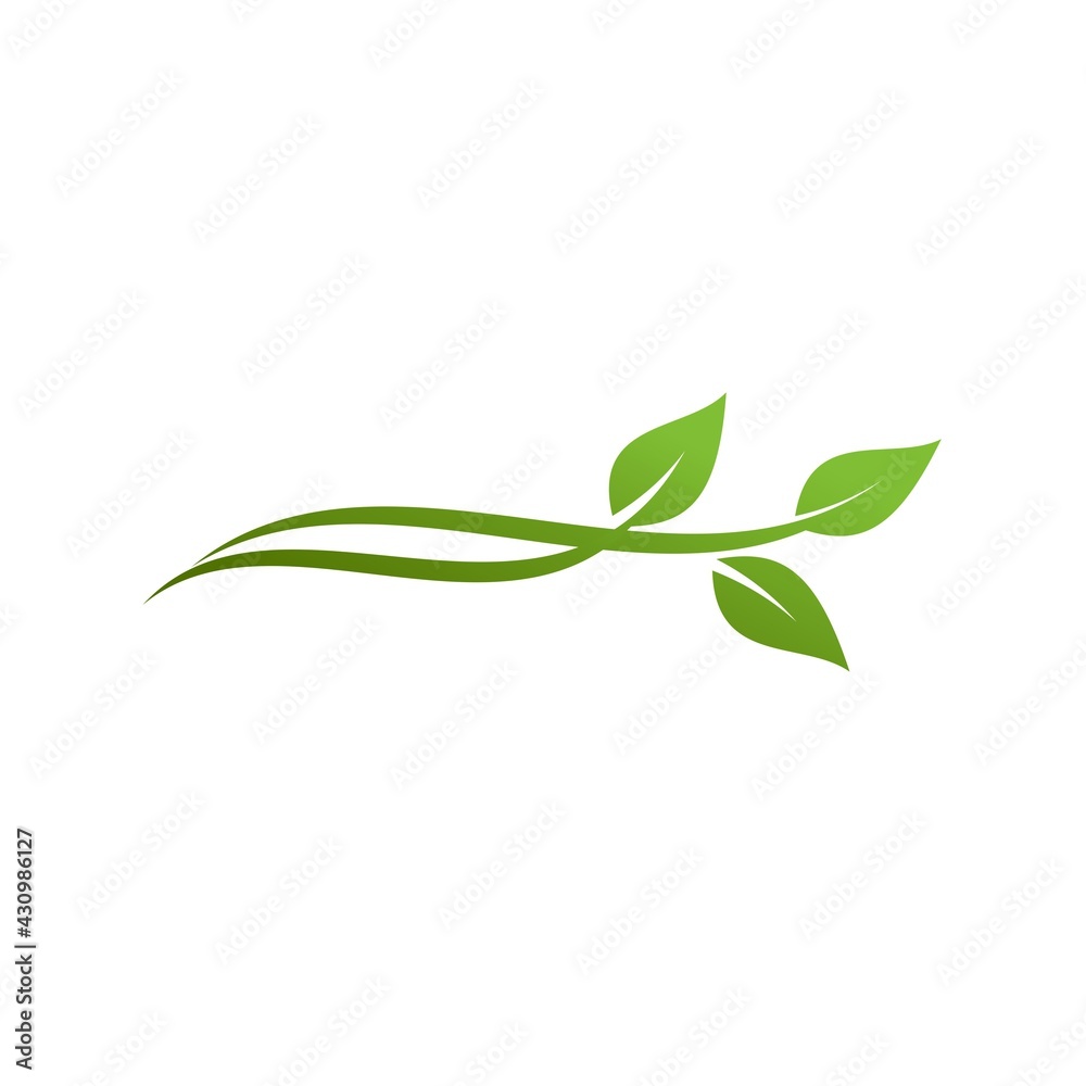 Naklejka premium green leaf icons design template vector