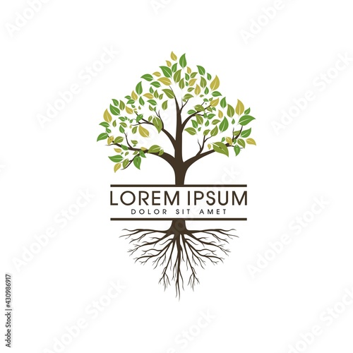 tree with roots logo