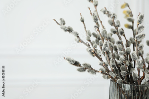 Beautiful pussy willow branches in glass vase on white background, closeup. Space for text