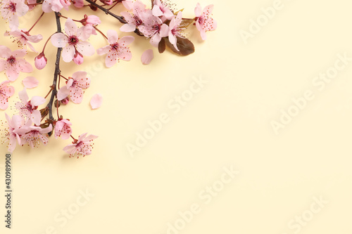 Sakura tree branch with beautiful pink blossoms on beige background, flat lay. Space for text © New Africa