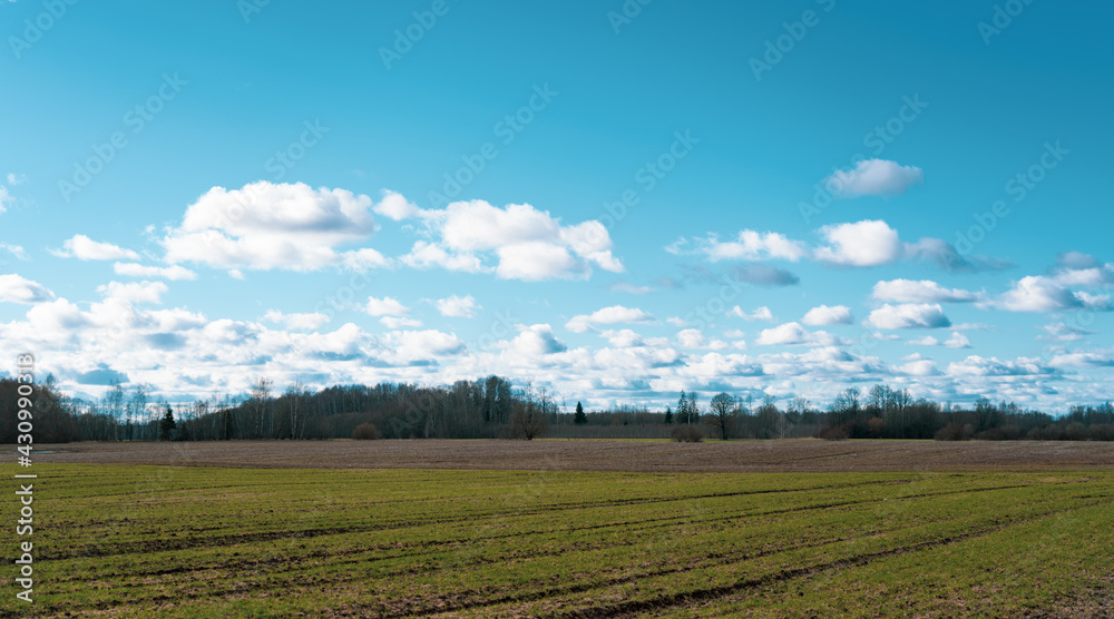 Spring sky and fields outside the city..