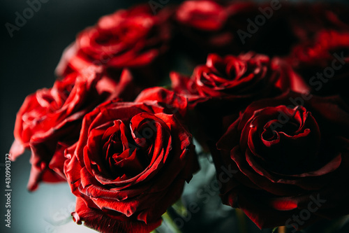 luxurious bouquet of large red roses close-up. low key photography  noir