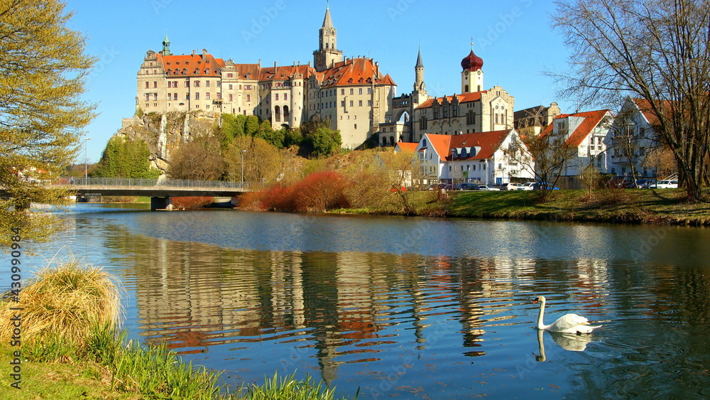 herrliches Schloss Sigmaringen spiegelt sich unter blauem Himmel am Ufer der Donau  mit Schwan