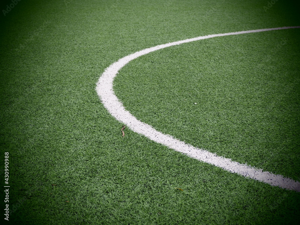 Fototapeta premium soccer field and grass