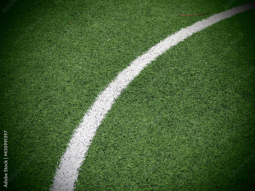 Fototapeta premium soccer field with grass