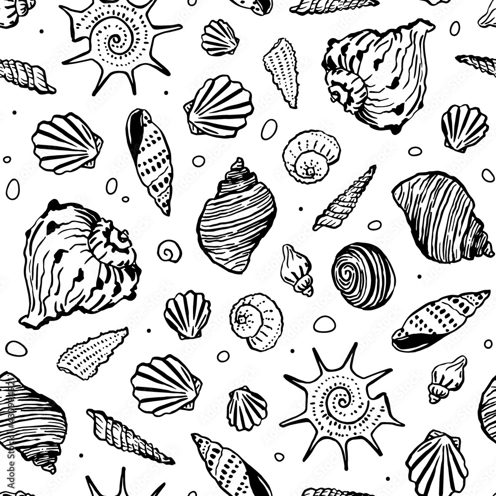 Hand-drawn seashells on white background. Non directional seamless pattern. Vector illustration Hand-drawn seashells on white background. Non directional seamless pattern. Vector illustration
