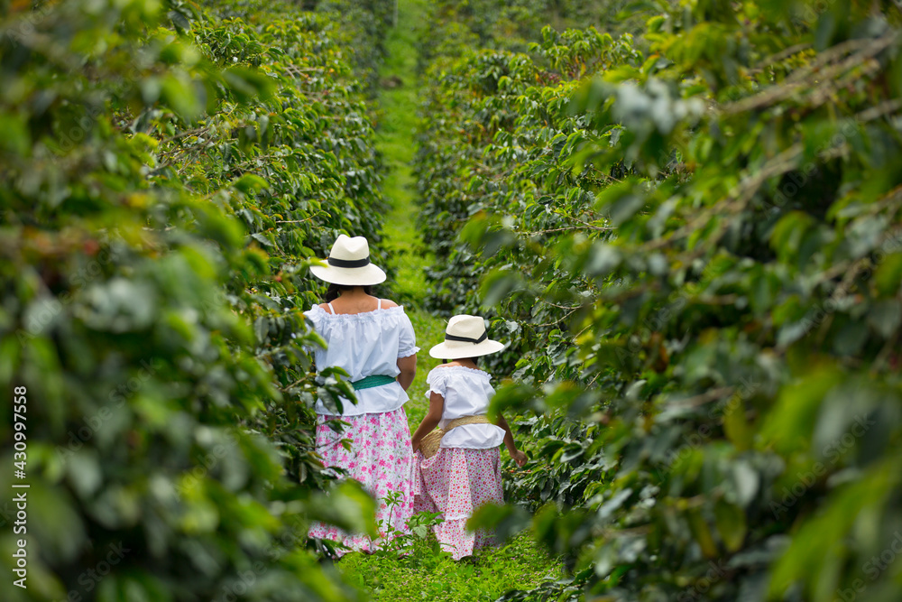 mother and daughter picking up coffee beans in Colombia mother and daughter picking up coffee beans in Colombia
