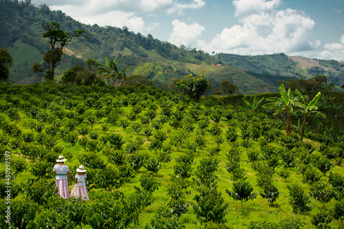 mother and daughter picking up coffee beans in Colombia