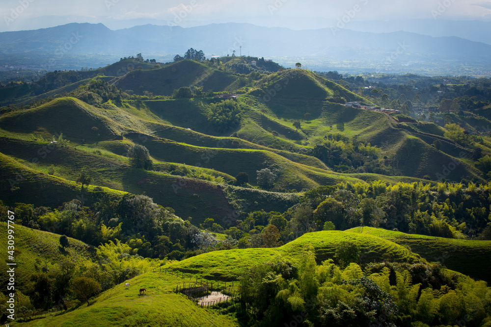 Mountains in Quindio region, Colombia