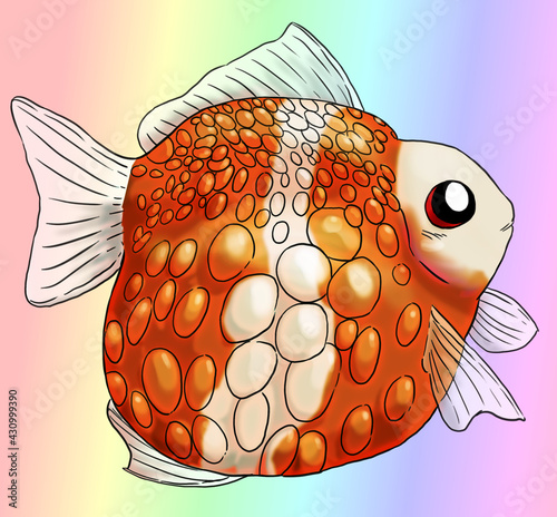 Digital illustration of a cute pearlscale goldfish, with pastel rainbow background photo