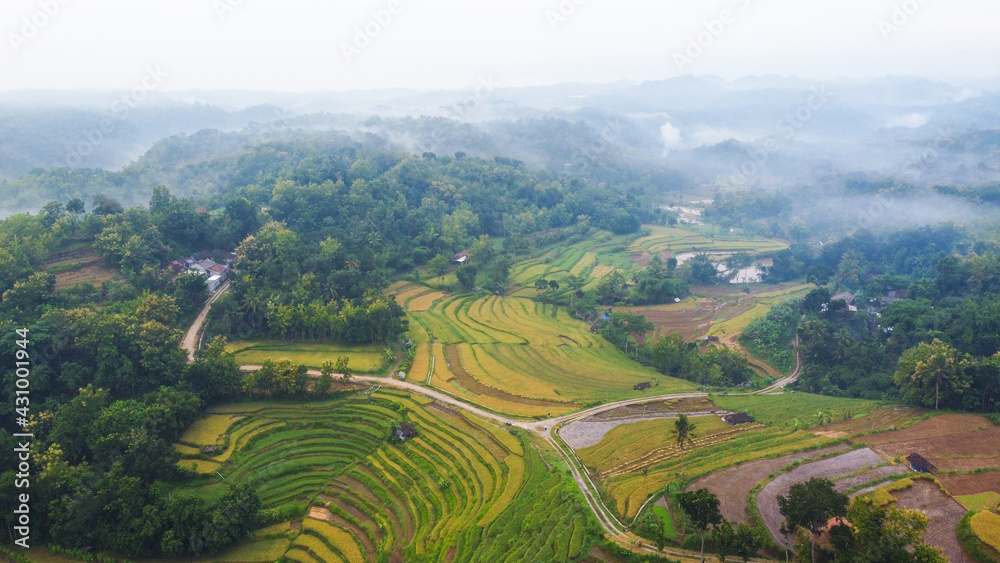Beautiful aerial view of rice terraces with morning mist