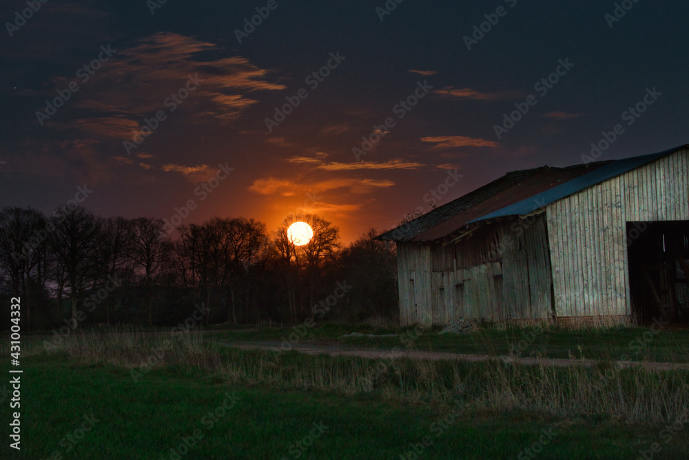 Pink Moon in Pink Moon in
