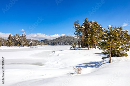 Amazing winter scene, Shiroka polyana lake, Rhodope mountains, Bulgaria
