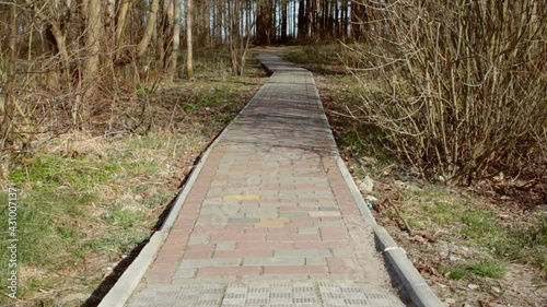 Old tile trail through the forest to the sea