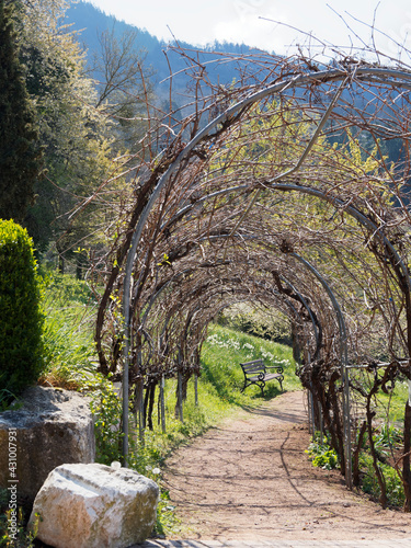 Badenweiler im Baden-Württemberg. Botanischer Garten. Hildegard-von-Bingen-Garten, richtung Südosten von Kurpark photo