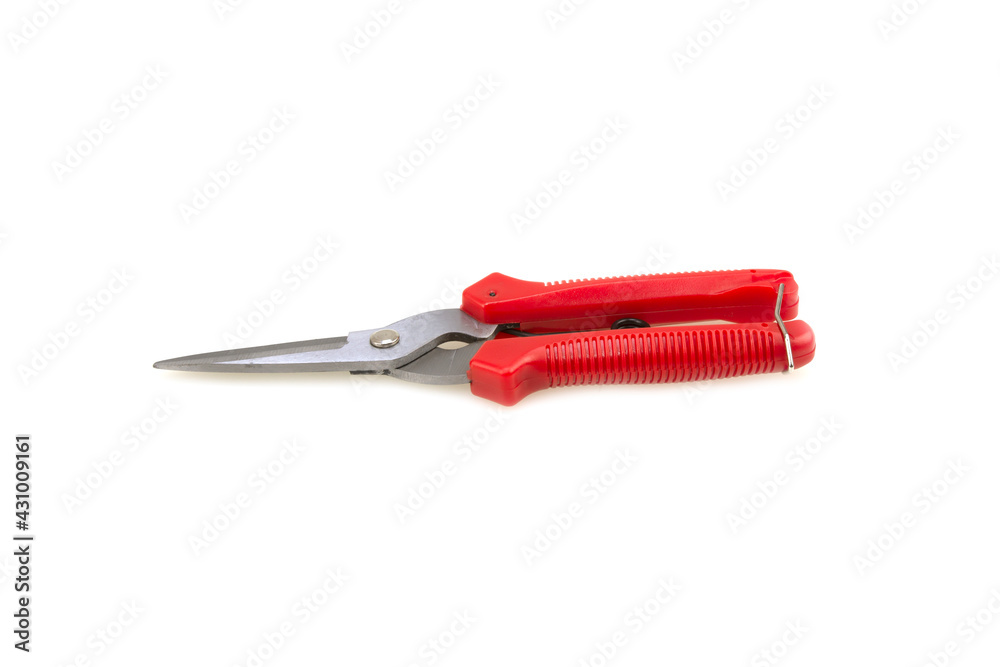 Scissors cut branches on a white background.Garden metallic clipper for cut plant branches. Scissors cut branches on a white background.Garden metallic clipper for cut plant branches.