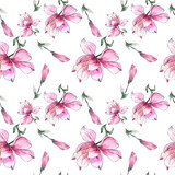 Watercolor illustration. Seamless pattern of pink magnolia flowers on a white background