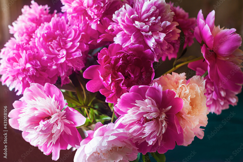Obraz premium A bouquet of cut bright peonies of different shades. A gift for a woman, mom. Summer flowers.