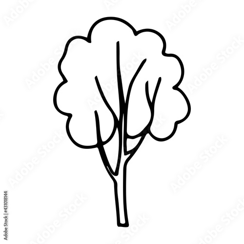A tree in a stylized doodle style. Contour hand-drawn tree illustration for printing  web  mobile devices isolated on white background. Vector