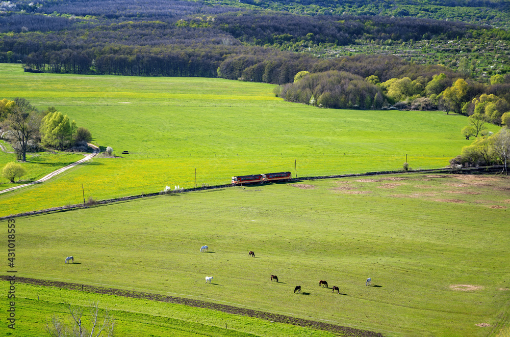 Landscape in the countryside, with grazing horses and monorail