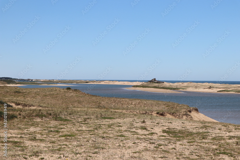 the estuary environment connects the lagoon to the ocean