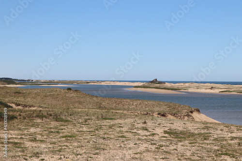 the estuary environment connects the lagoon to the ocean