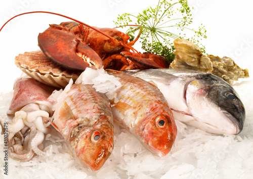 Seafood and Fish on white Background - Isolated