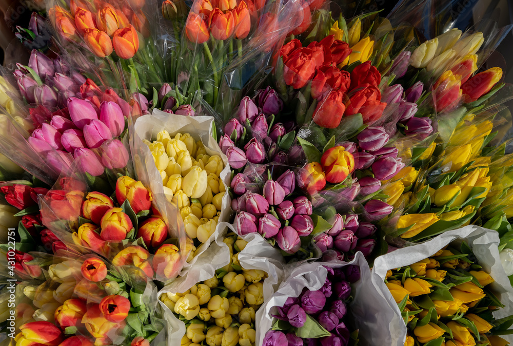 Tulips bouquets in the market