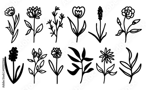 Collection of doodled flowers and leaves. Bundle of hand drawn vector botanical outline elements without background.