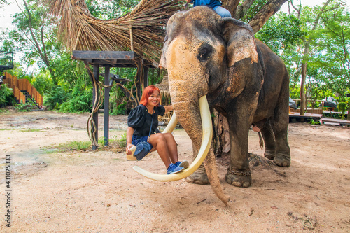 Canvas Print Relaxing time in an elephant camp in Thailand, Southeast Asia