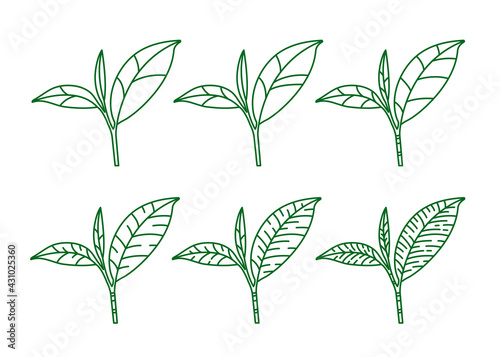 The Premium green tea for good health vector illustration.