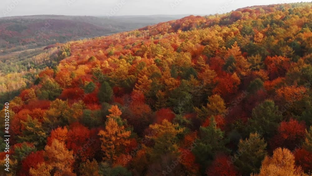 Aerial shot: Amazing Autumn Foliage Forest with red, orange, yellow and green colors. Aerial shot: Amazing Autumn Foliage Forest with red, orange, yellow and green colors.