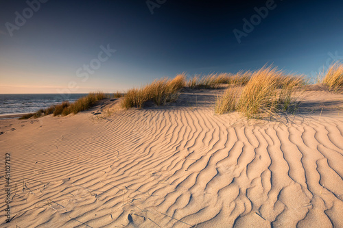 view on sand dune by North sea beach