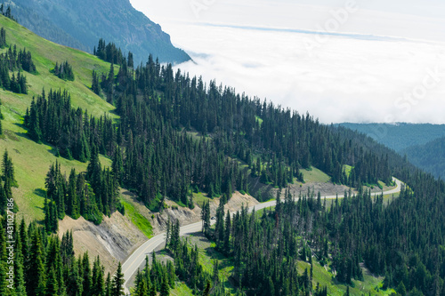 Hurricane Ridge in Washington State's Olympic National Park