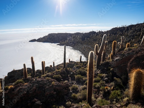 Panorama view of isolated cactus island Incahuasi Inkawasi on white salt flat lake Salar de Uyuni in Potosi Bolivia photo